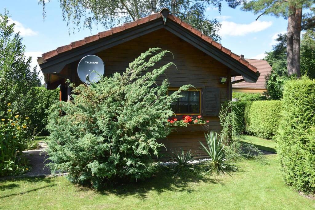 Gemütliches Blockhaus, Waldblick, Nähe Ber/sxf Ferienhaus
