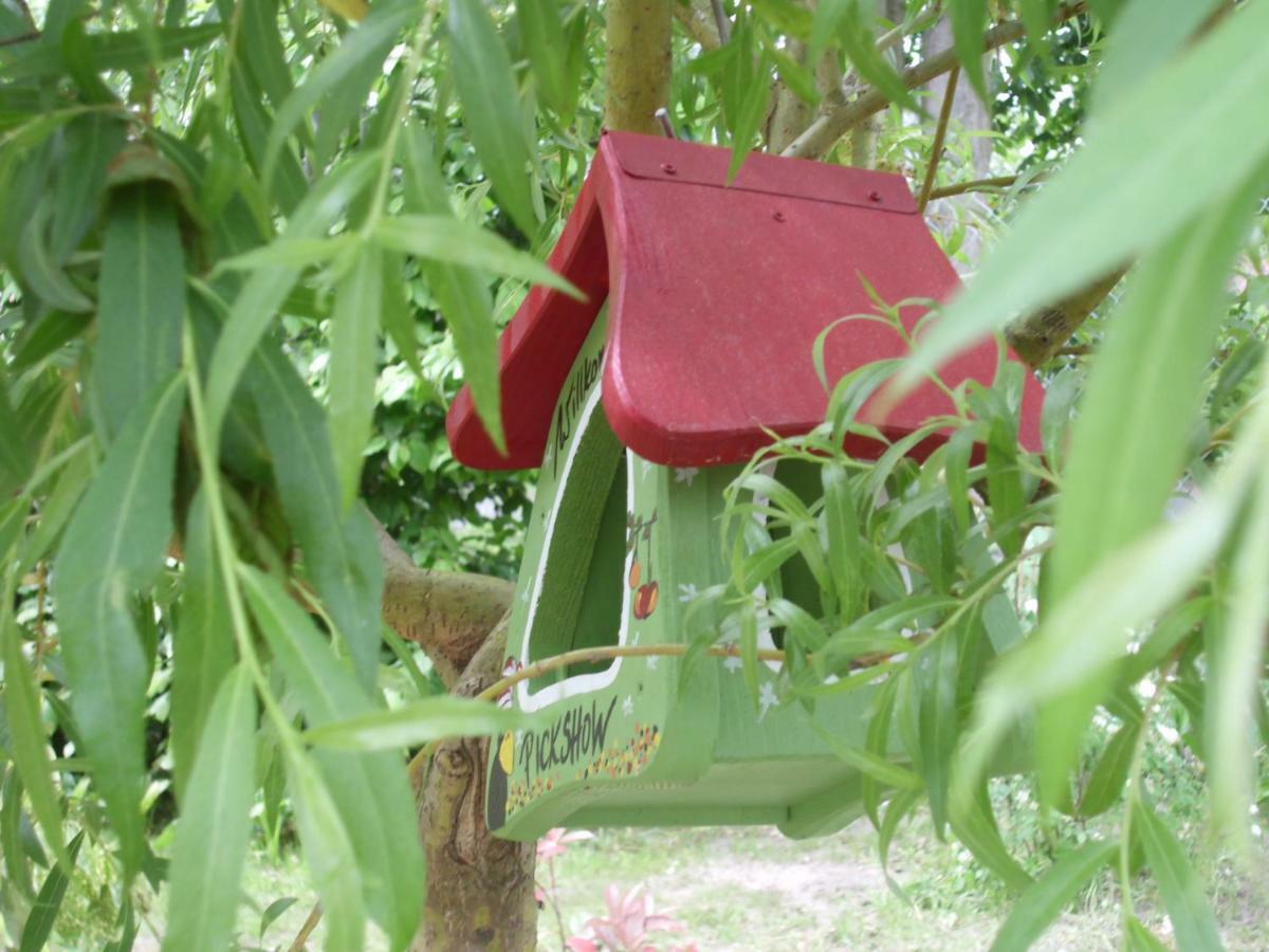 Homestay Ferienwohnung Mit Garten