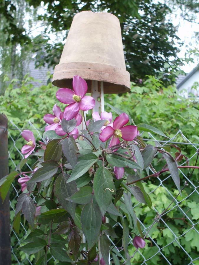 Ferienwohnung Mit Garten Homestay