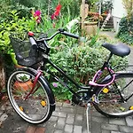 Pension Zum Saegebock
