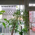 Boutique Altbau Apartment