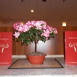 City Pension Sanader