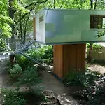 Urban Tree House