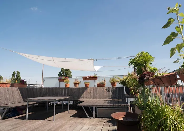 Rooftop Terrace Oasis