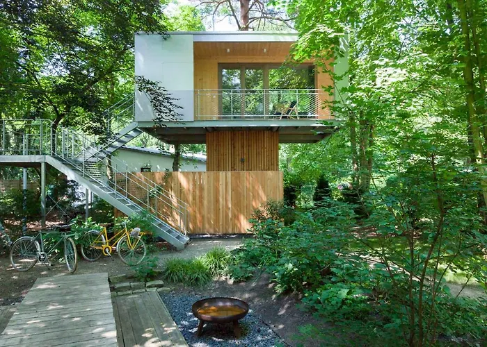 Urban Tree House