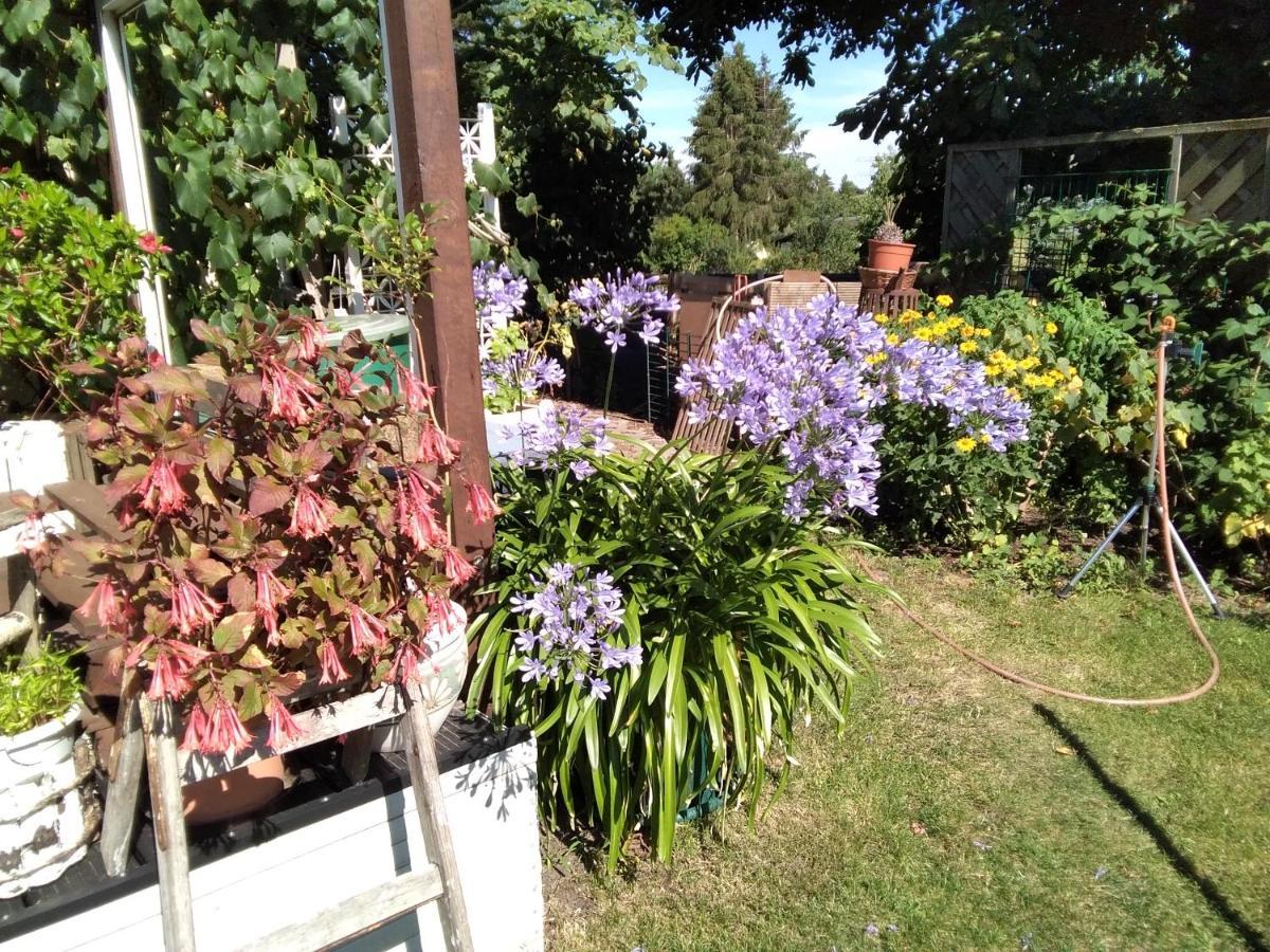 Gartenhaus Apartment