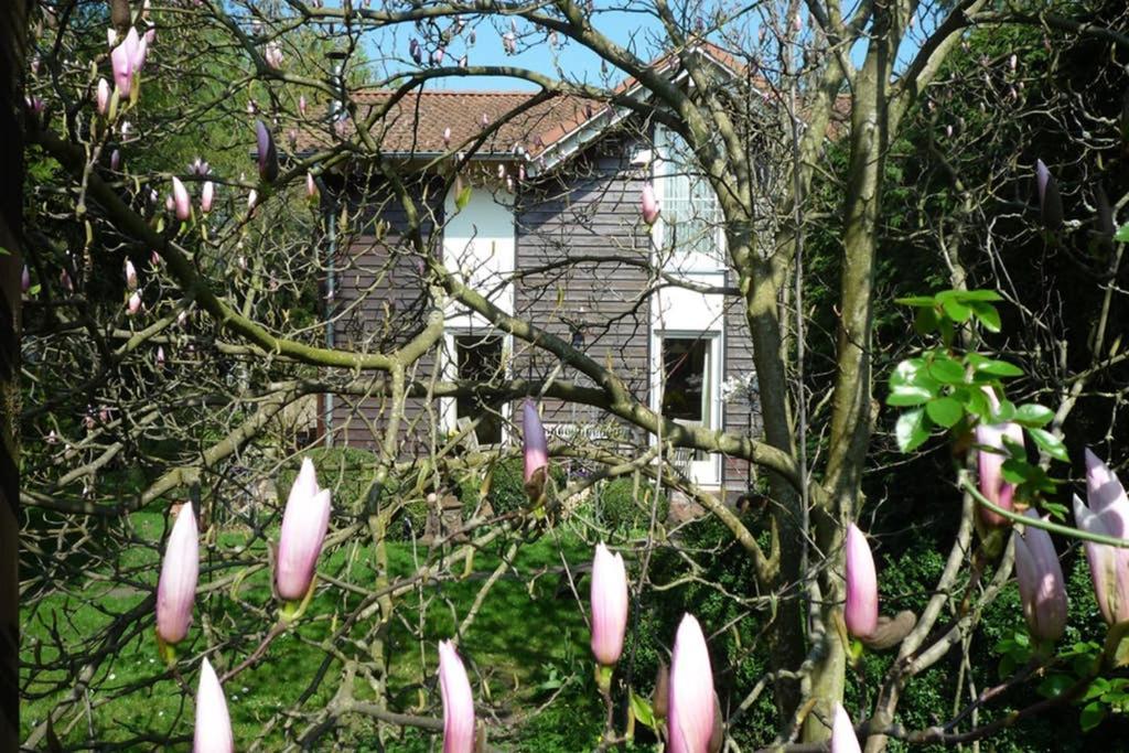 Holiday home Gaestehaus Im Park *