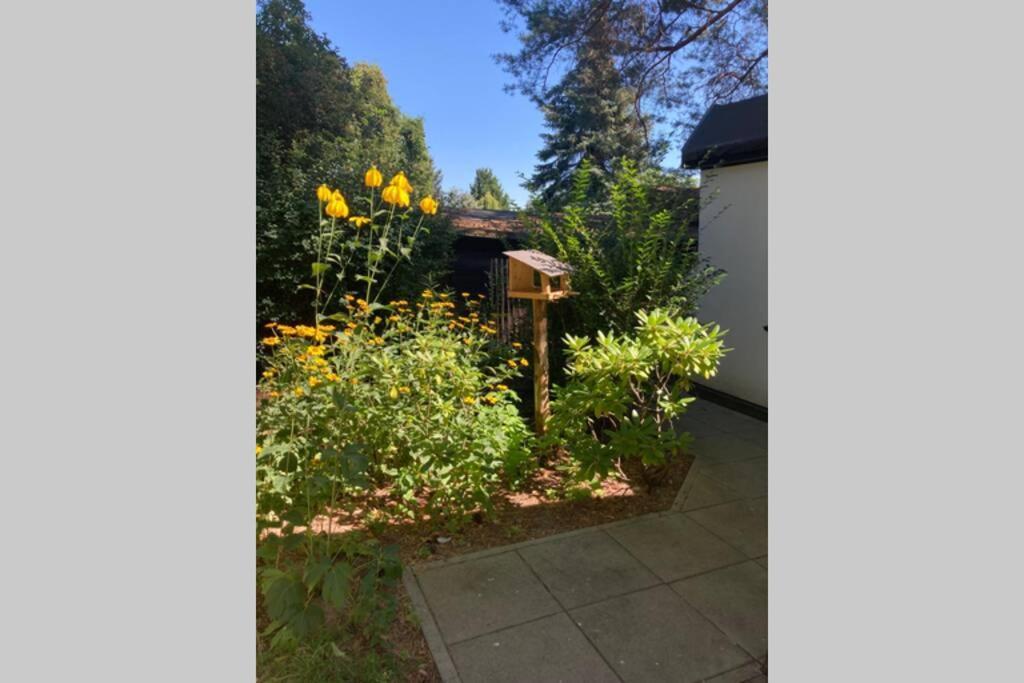 Garden - Welcome To Holiday home *