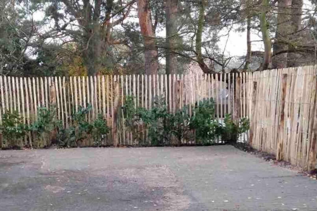 Garden - Welcome To Holiday home Berlin