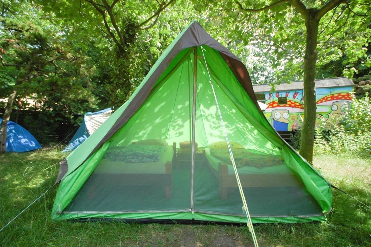 Sandino Summer Camp * Berlin