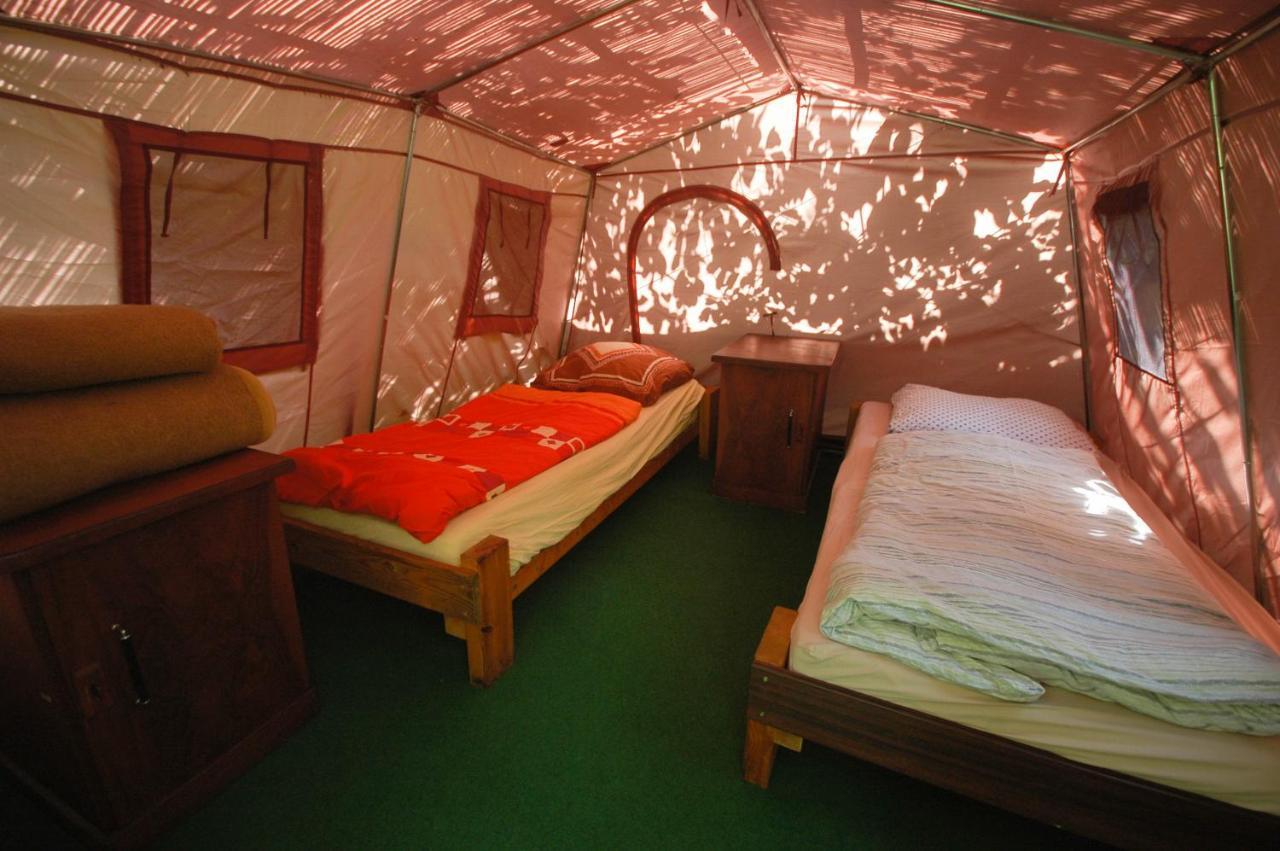 Hostel Sandino Summer Camp