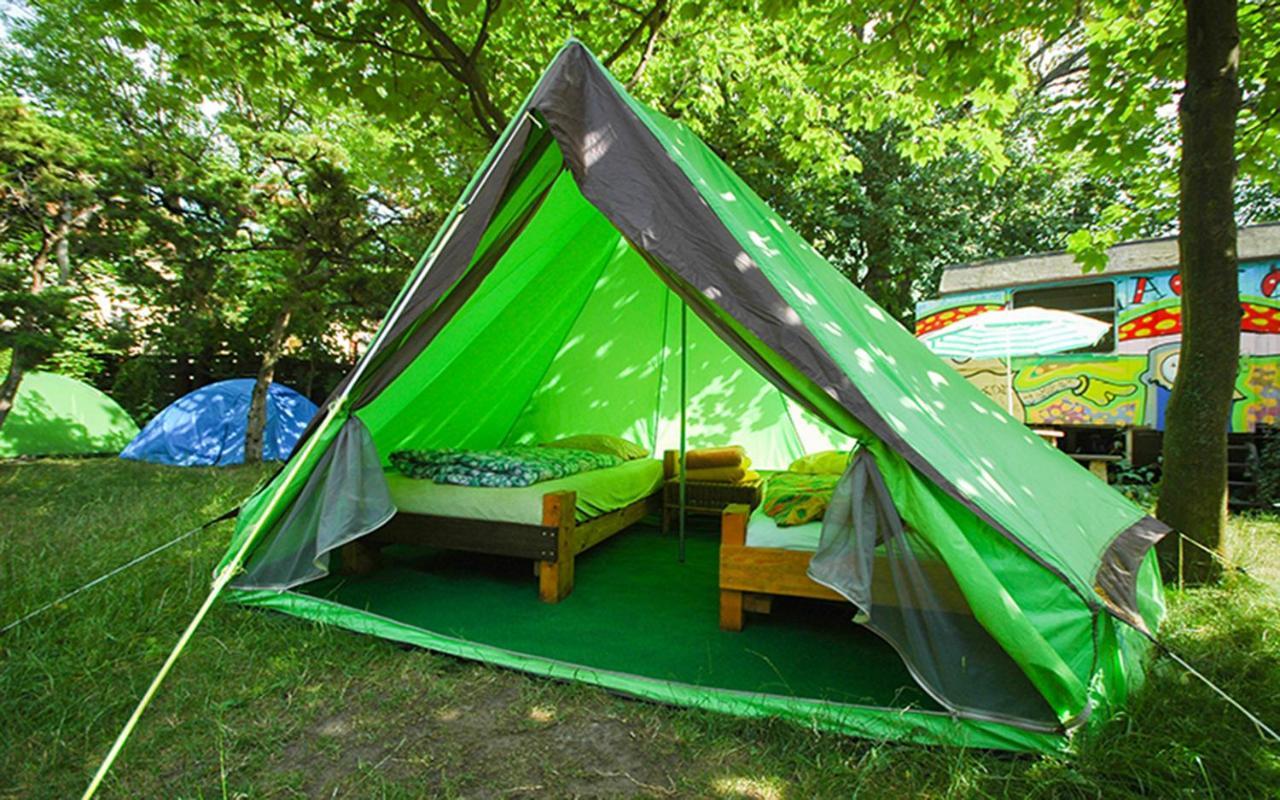 Sandino Summer Camp Berlin