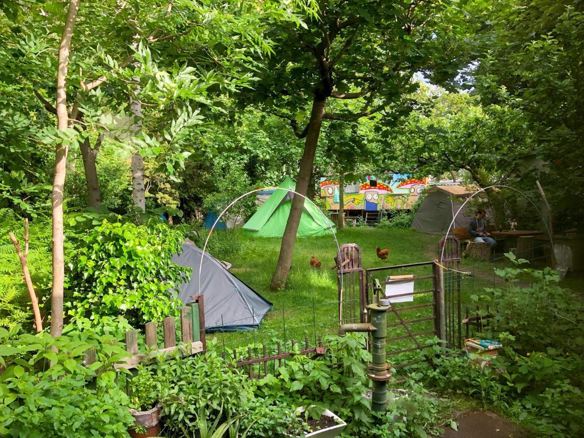 Sandino Summer Camp Hostel