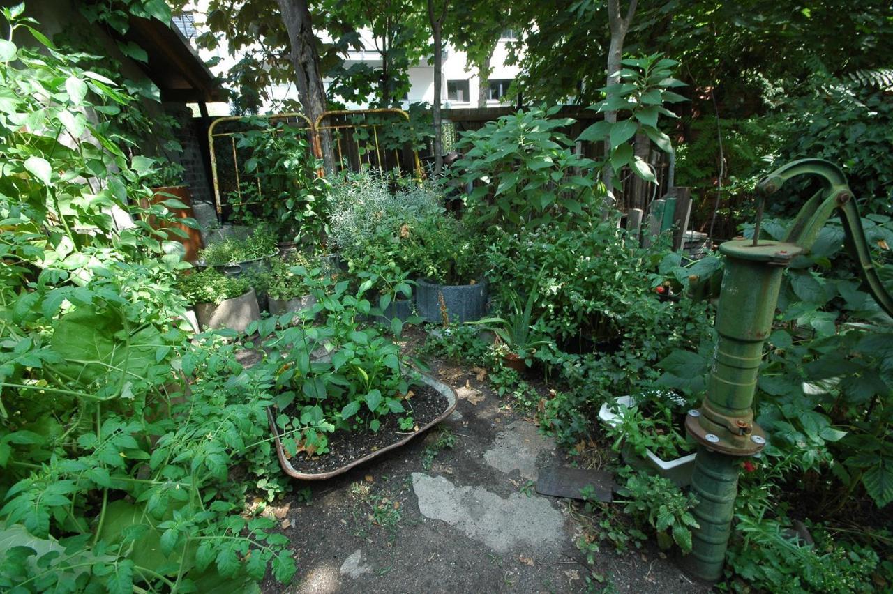 Sandino Summer Camp Hostel Berlin