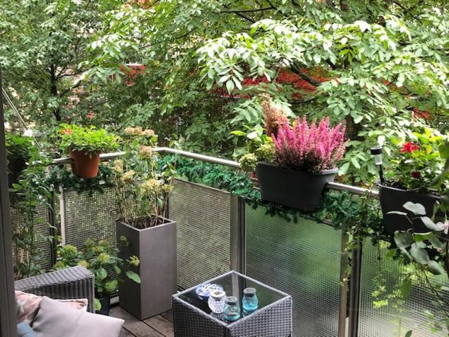 Apartment In The Center Of With Big Terrace