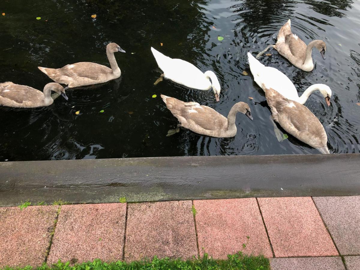 Direkt An Der Spree Mit Kleinem Hafen Und Whirlpool