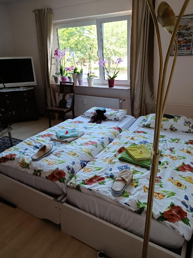 Weltoffenes Privates Gaestezimmer Bei Lgbtq Freundlichen Gastgeber Der Mit In Der Lebt Privat bolig