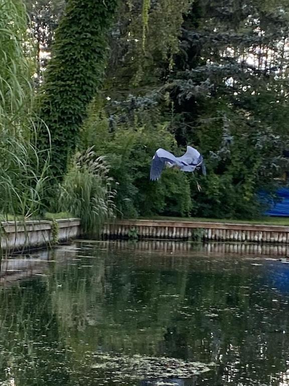 Holzhaus Mit Direktem Wasserzugang In Berlin-koepenick * Berlin