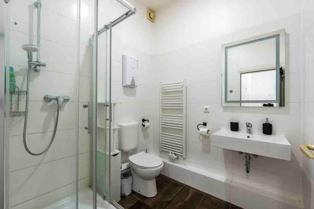 Apartment Big Fancy Center Berlin