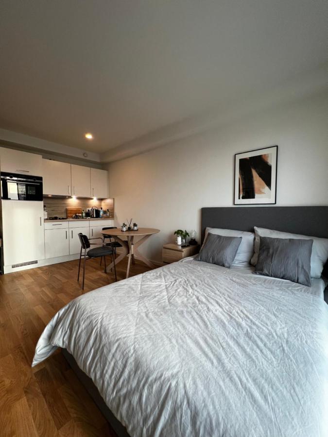 Loft Mitte Apartment Berlin
