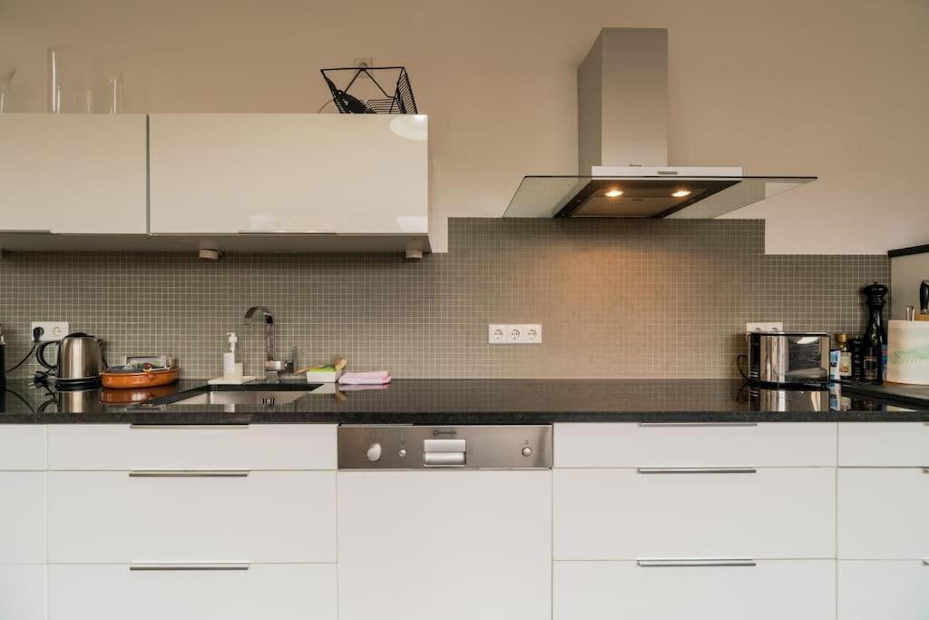 Ruhige Dachwohnung Mit Terrasse Mitte - Spacious Modern Rooftop Loft In Mitte Lejlighed Berlin