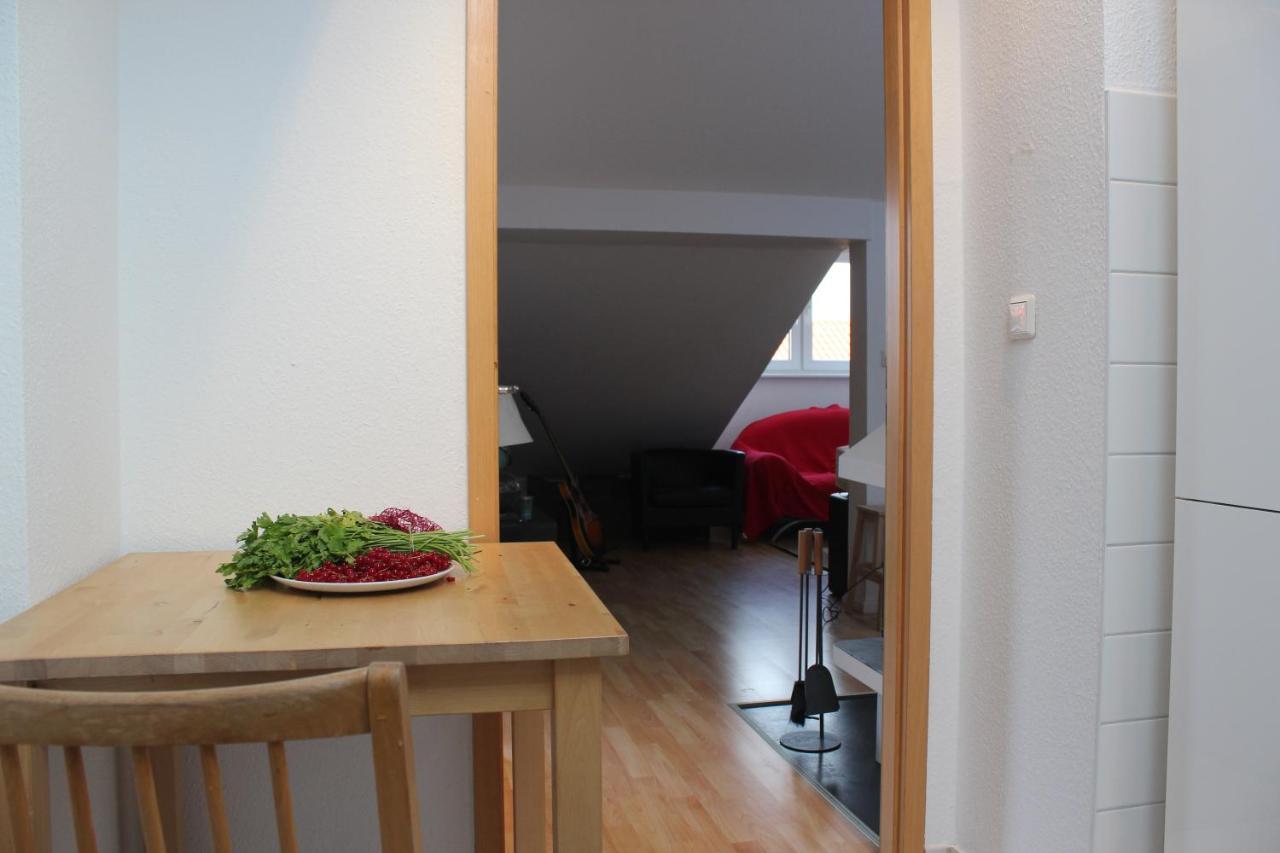 Apartment Rooftop Loft Mitte And Bikes *