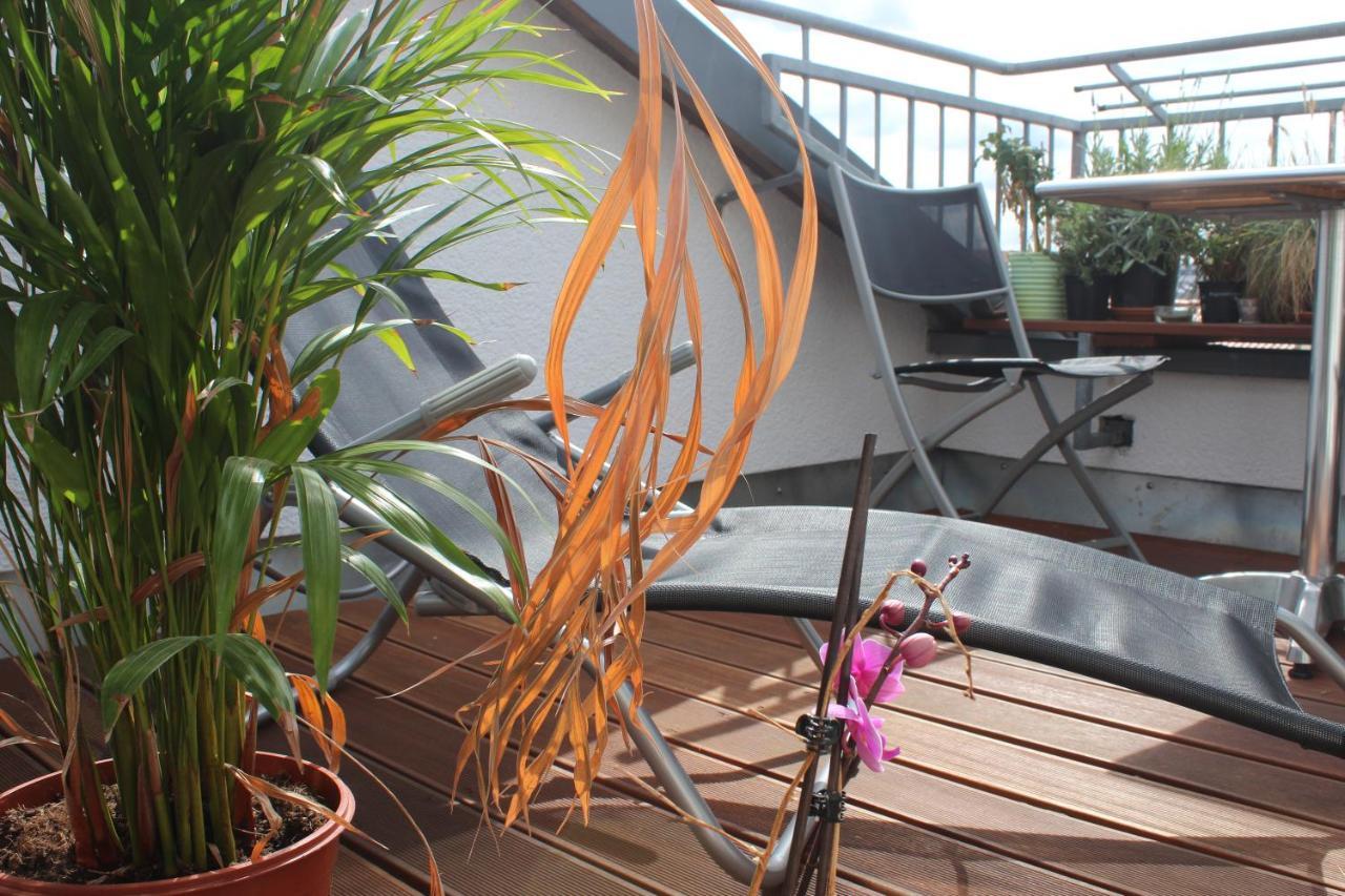 Rooftop Loft Mitte And Bikes