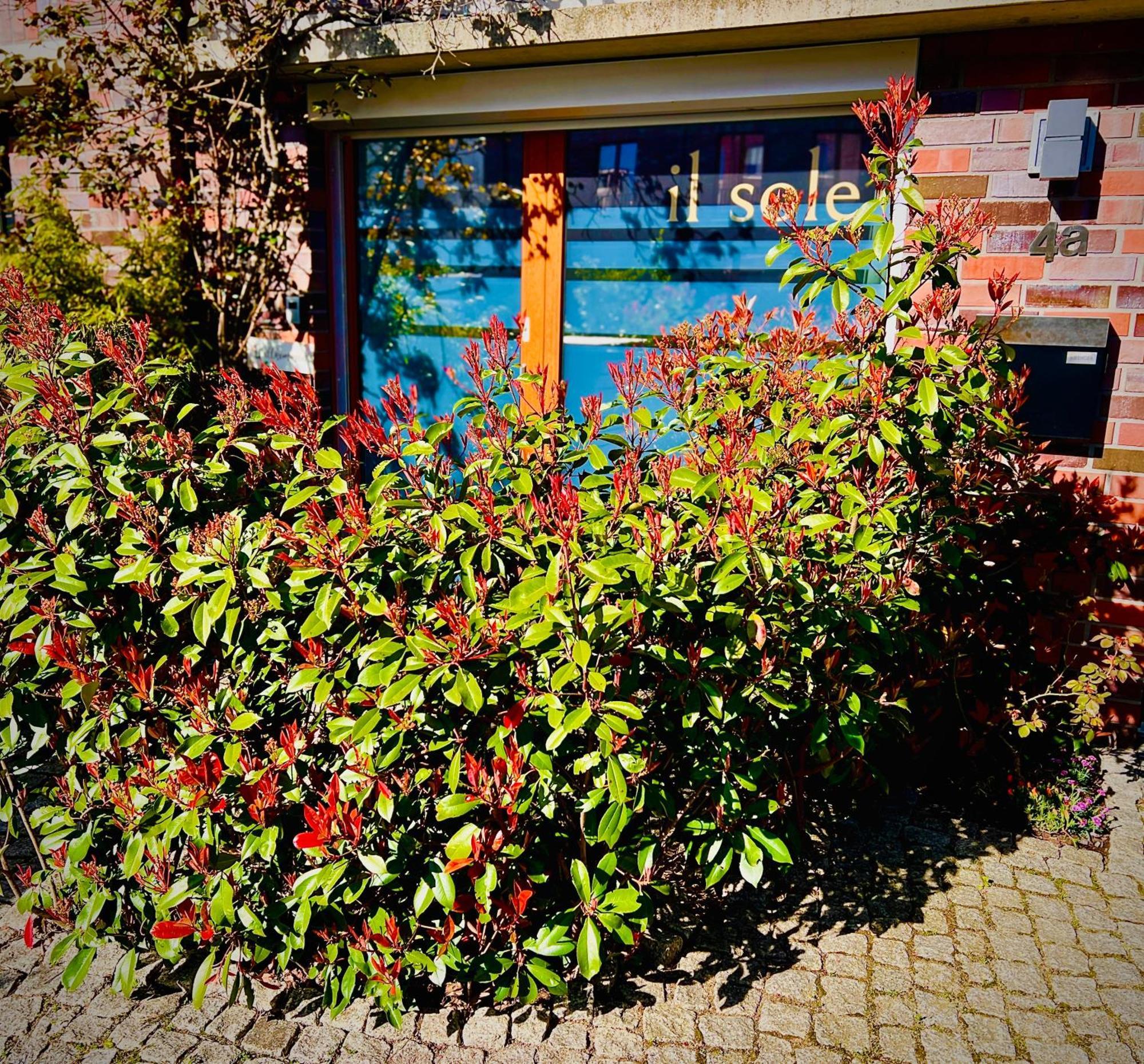 Schoene Aussichten Mitten In - Il Sole