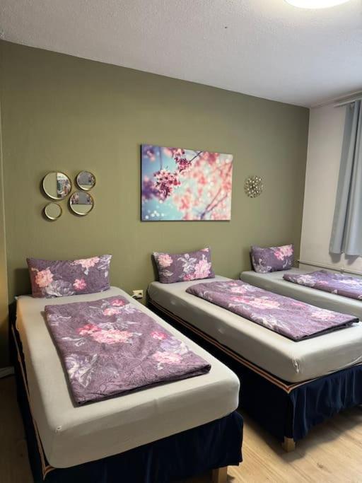 Choice - Fuer Bis Zu 12 Personen Apartment