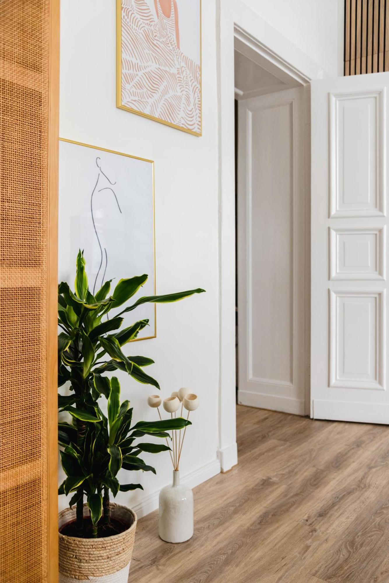 Apartment Exklusive Luxus-unterkunft In Mitte: 2 Apartments, 130m², Designer-moebel, Co2 Neutrale Reinigung