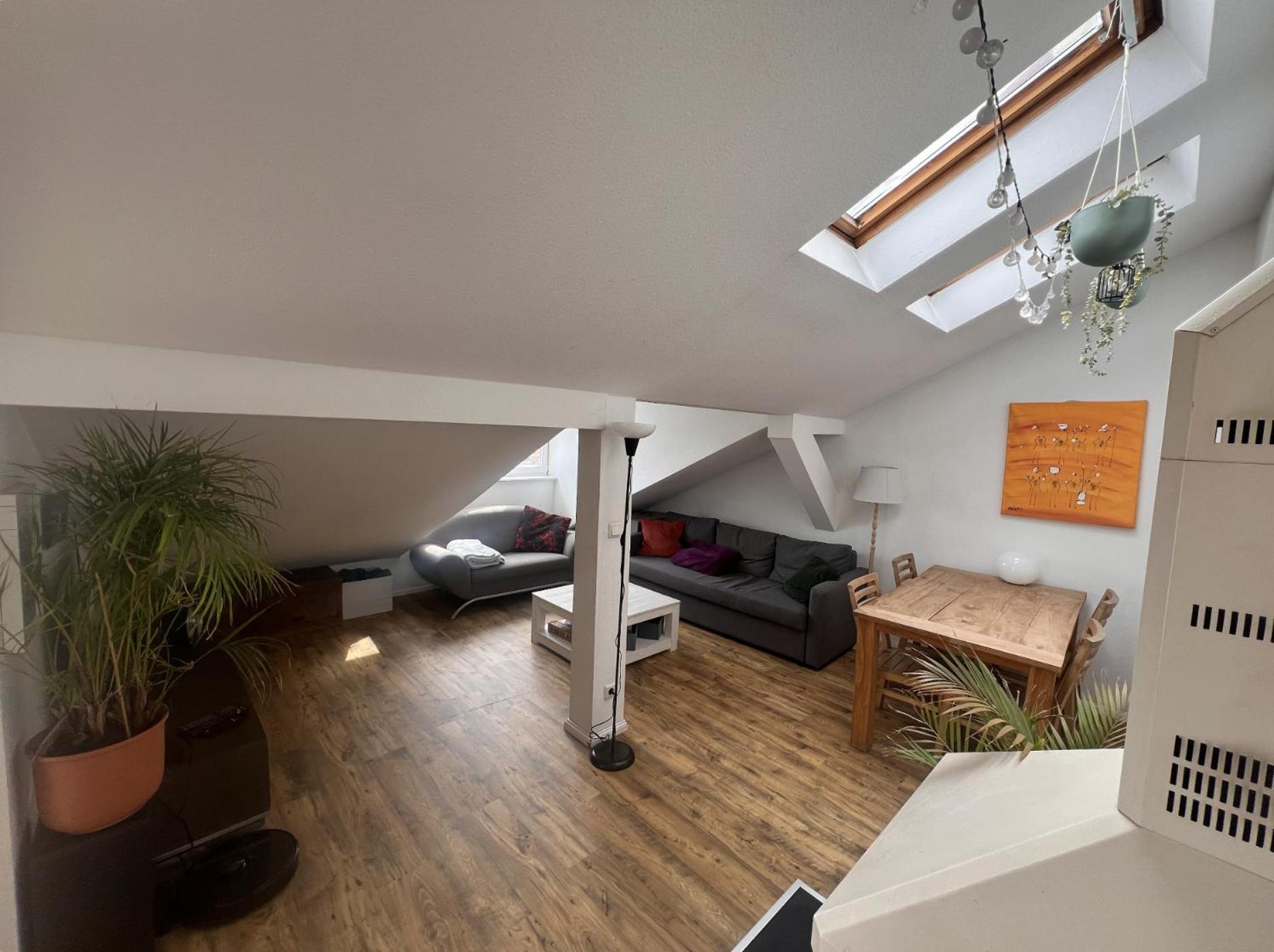 Apartment Rooftop Loft Mitte And Bikes Berlin