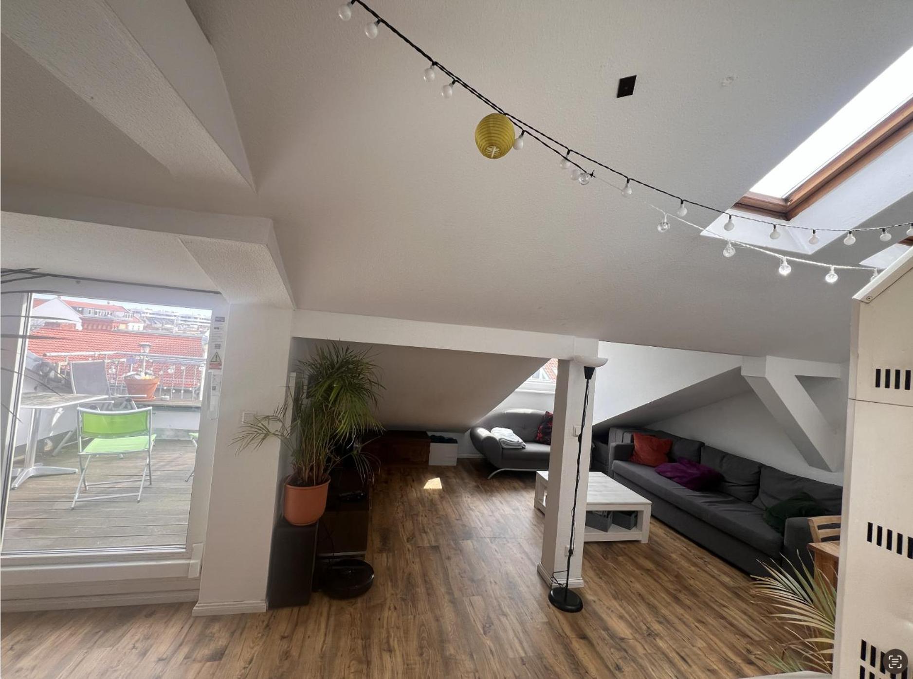 Apartment Rooftop Loft Mitte And Bikes