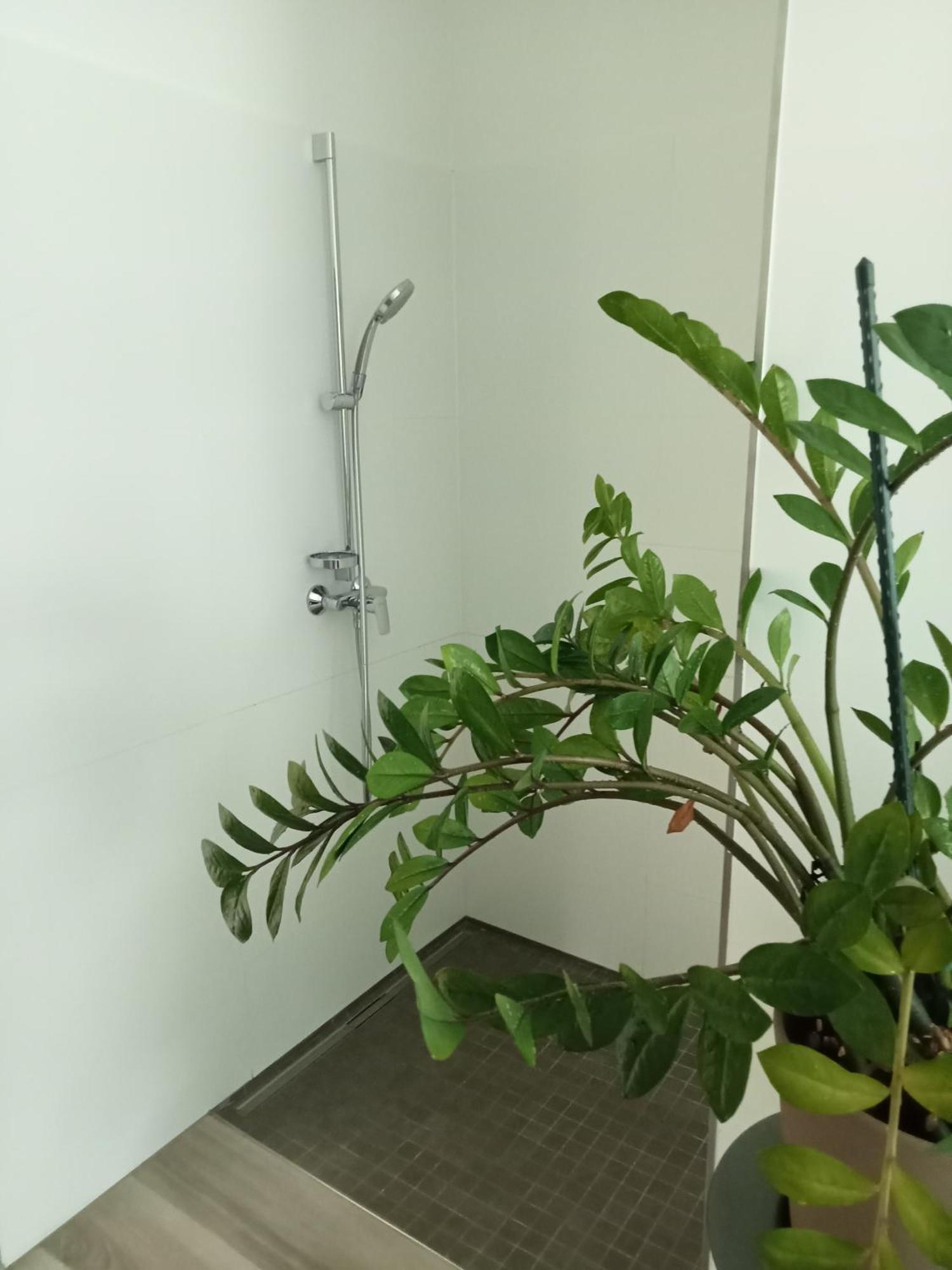Stadtgruen 1 Apartment