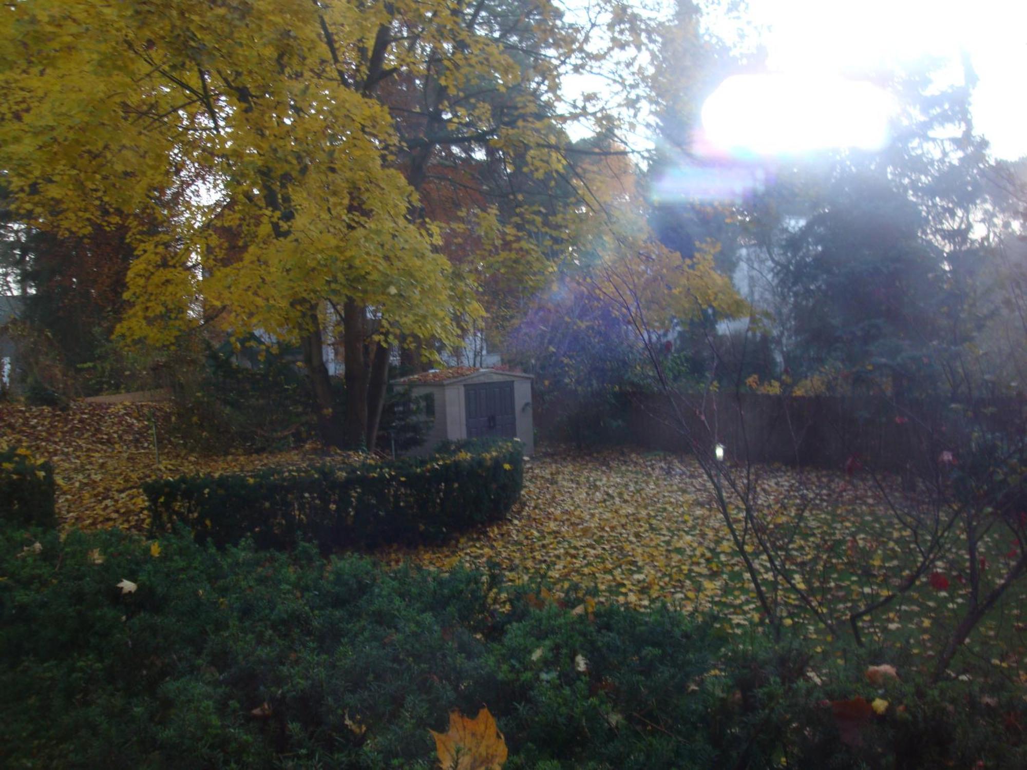 Guest house Landhaus Schlachtensee