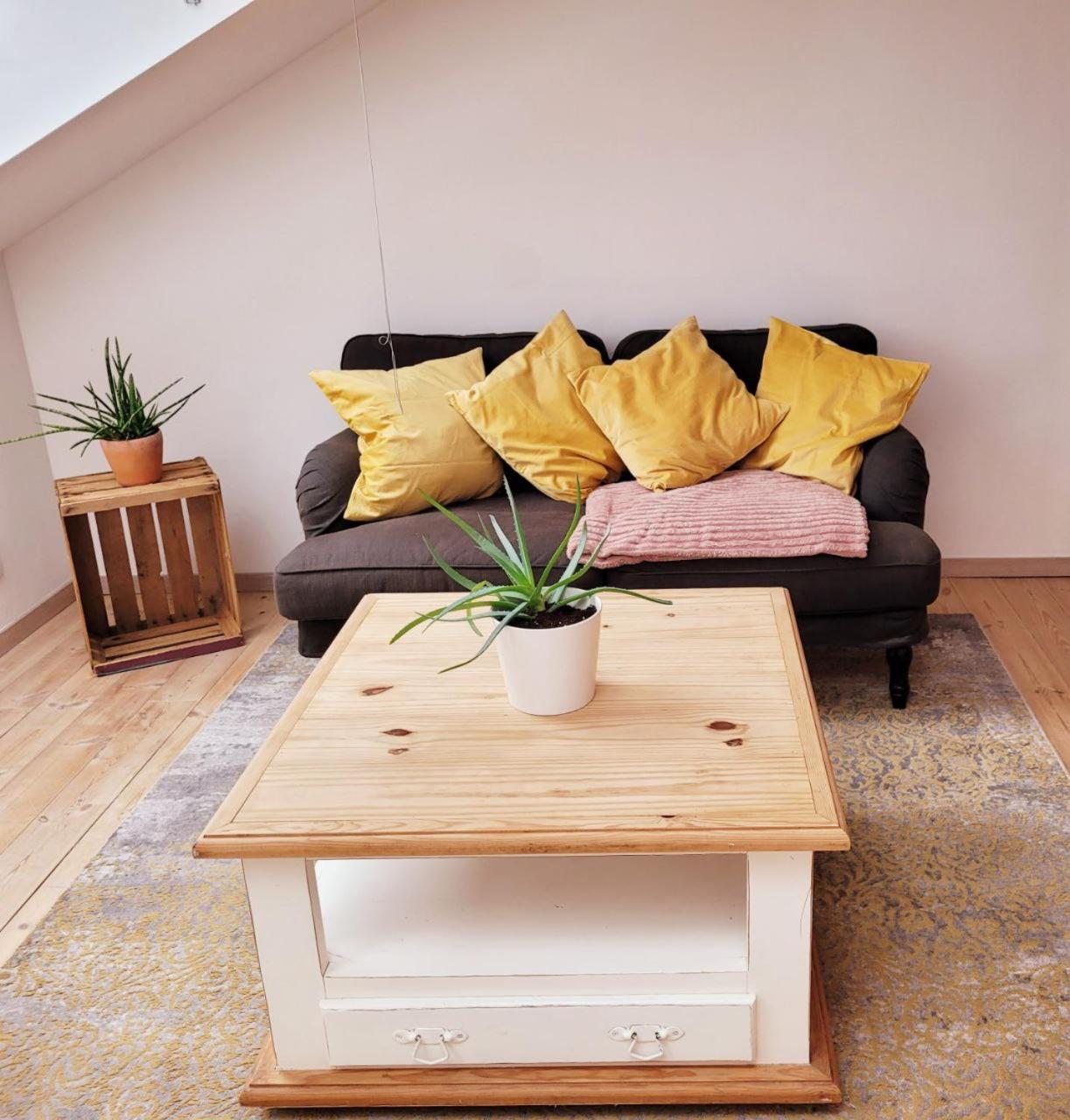 Homestay In Center