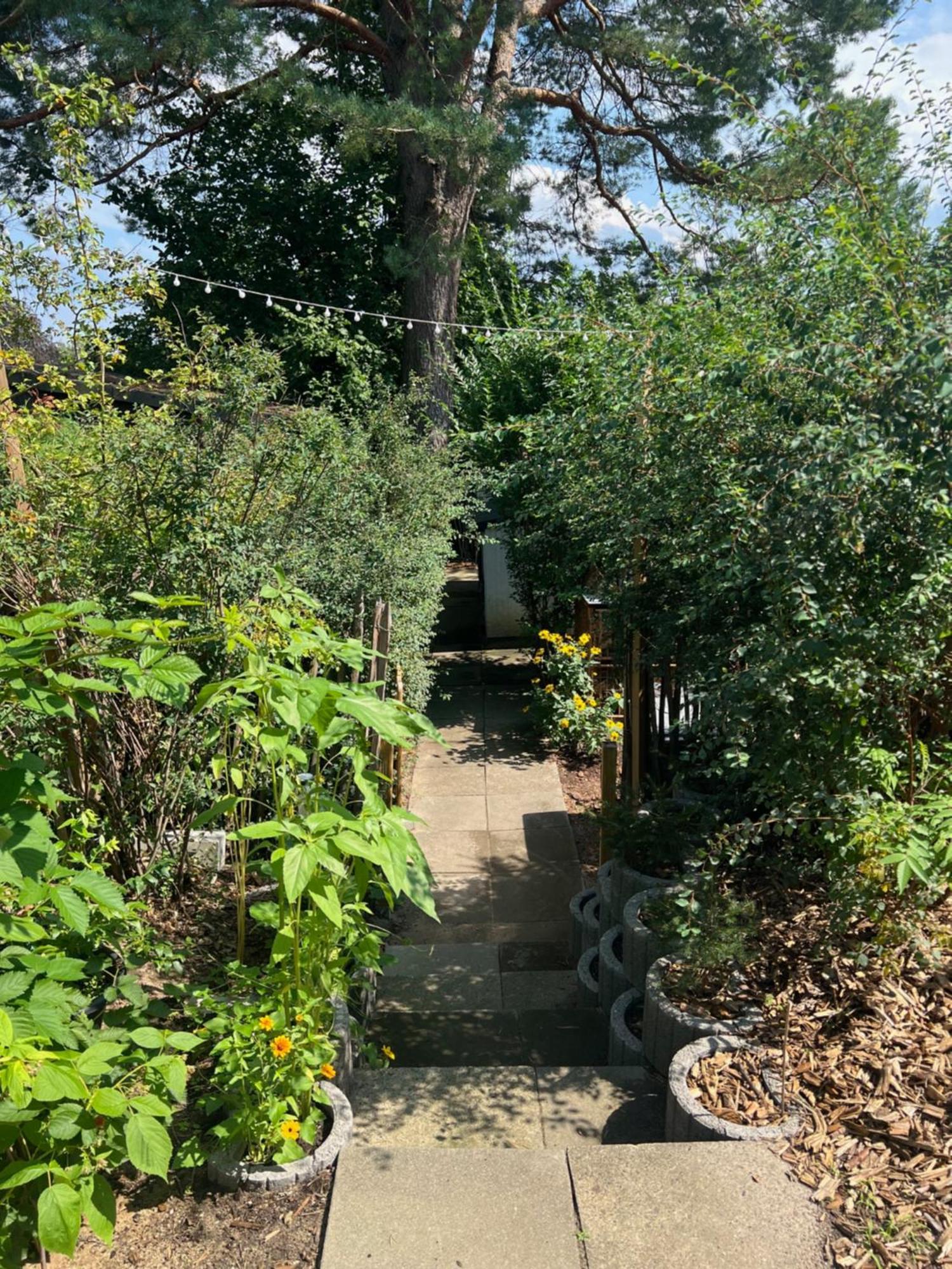 Garden - Welcome To