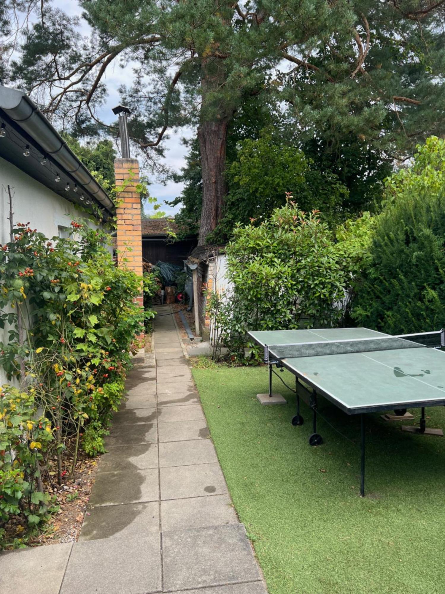 Garden - Welcome To Holiday home