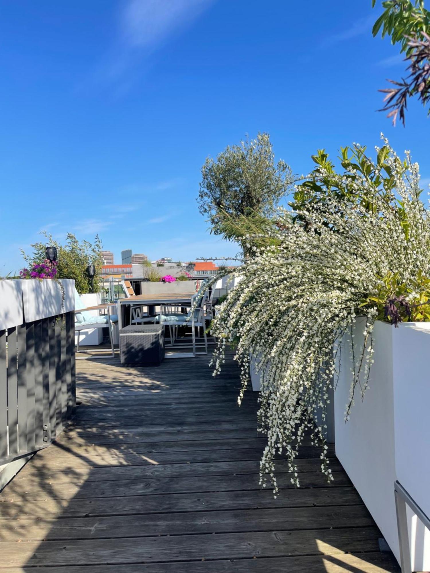 Tolles Penthouse In Mitte