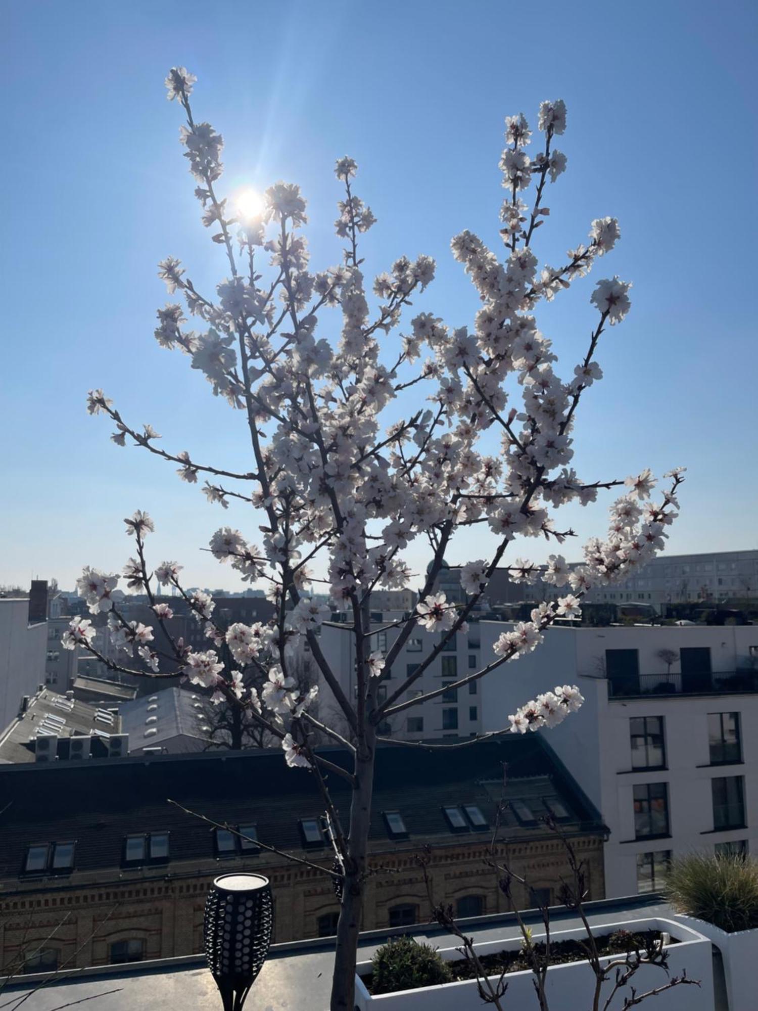 Tolles Penthouse In Mitte