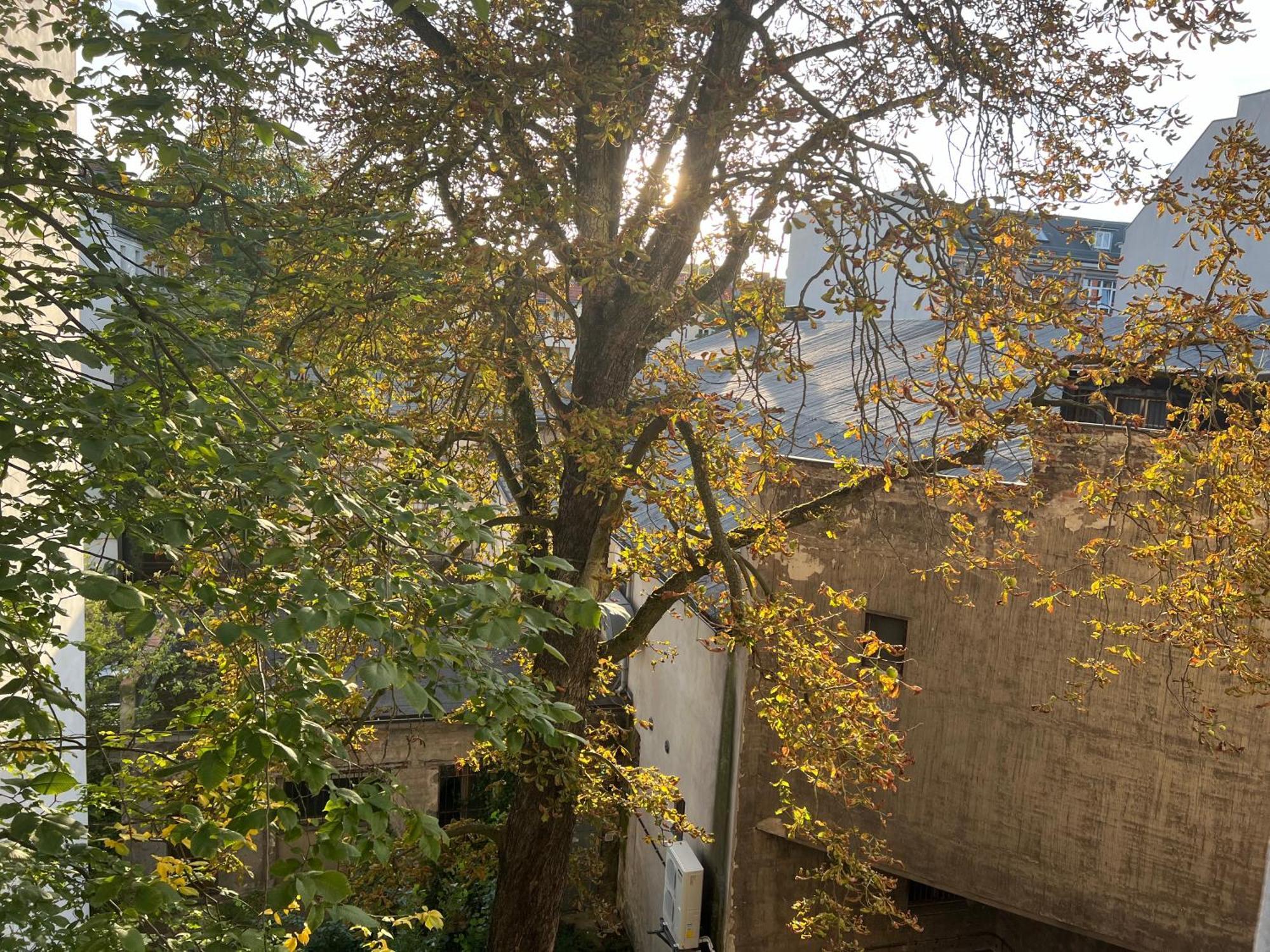 Apartment Schillerkiez Helle Zentrale Mit Berliner Charme Berlin
