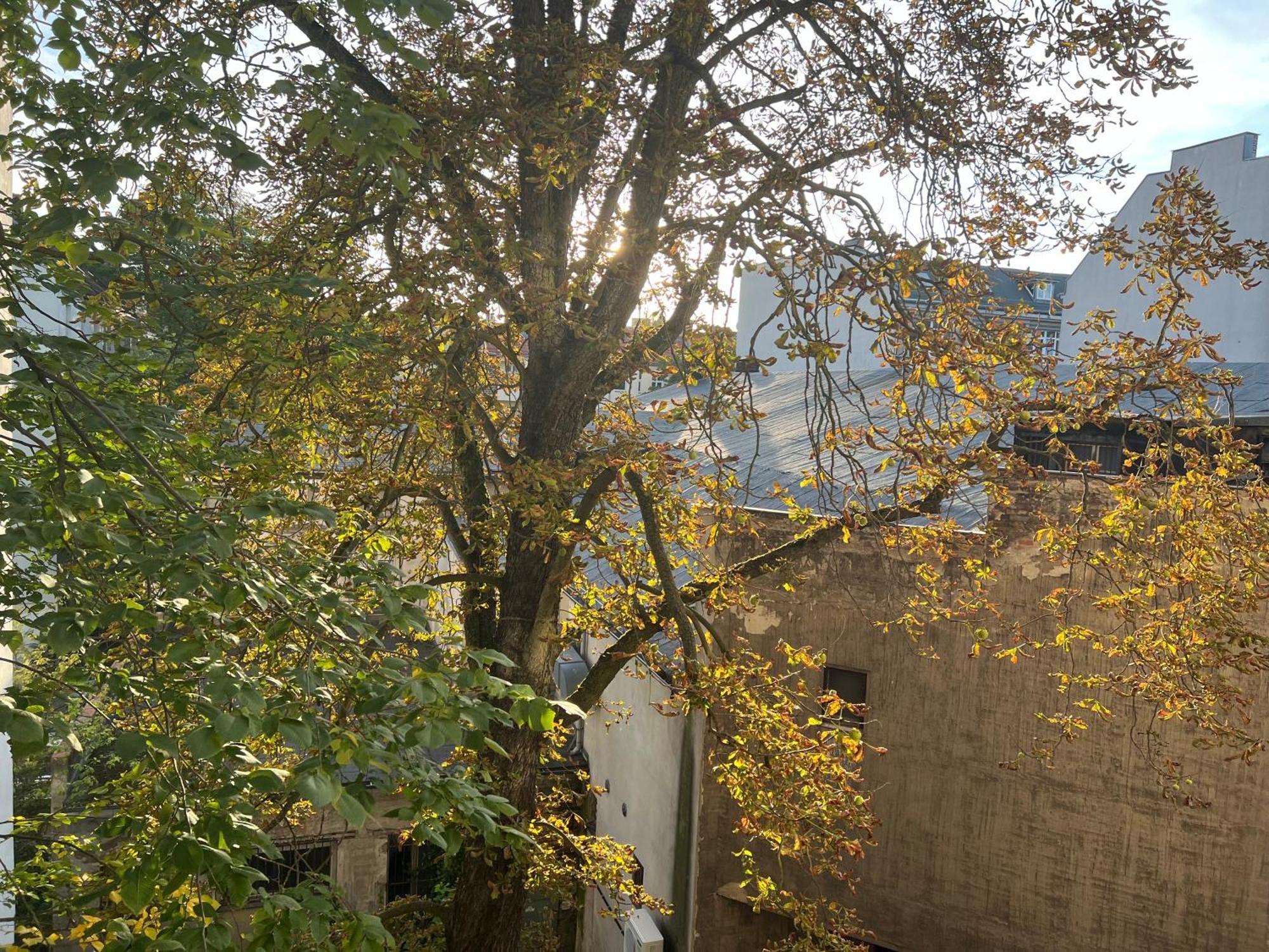 Schillerkiez Helle Zentrale Mit Berliner Charme Apartment
