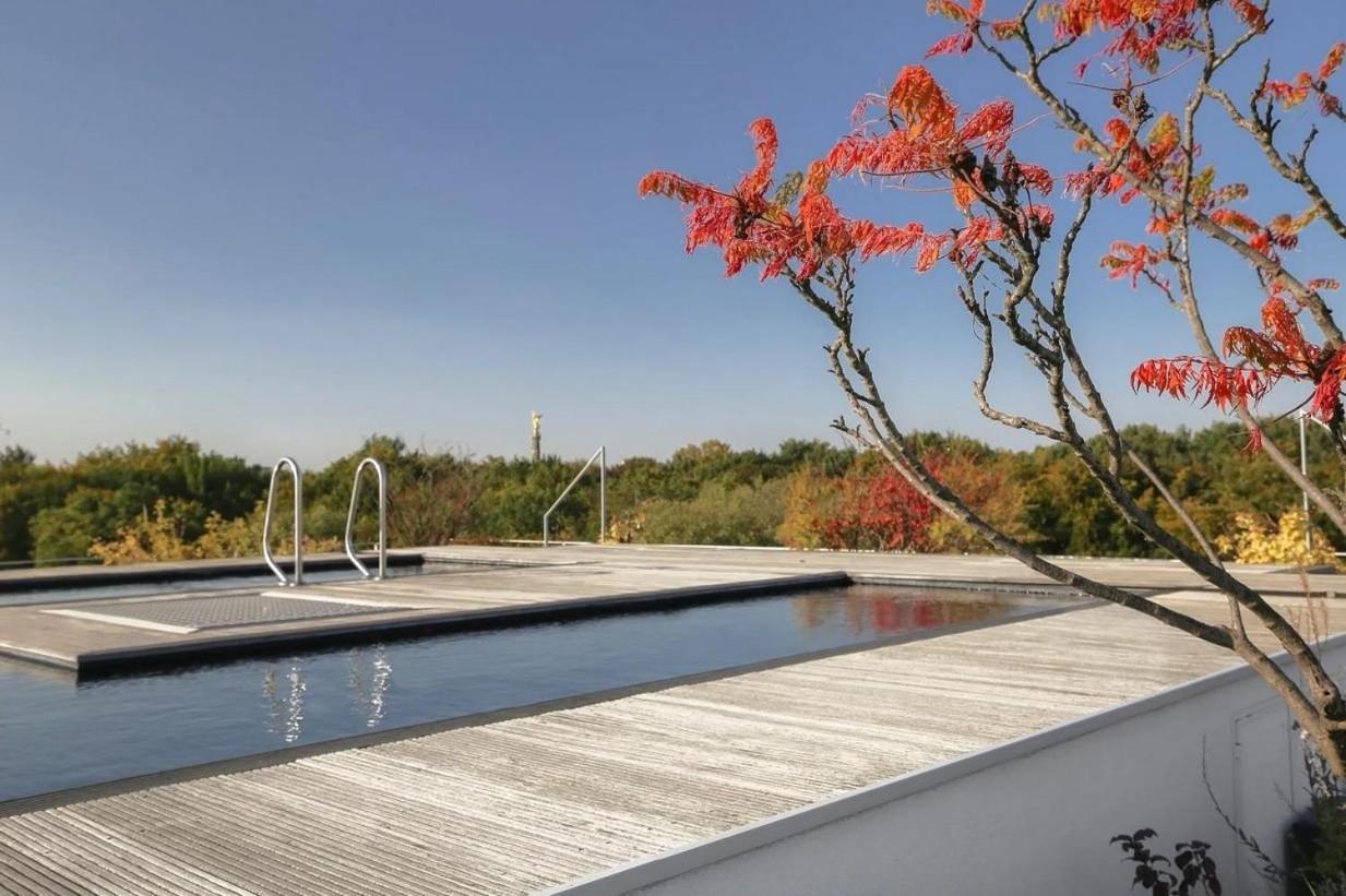 Ultra Luxury Penthouse With Pool Apartment *