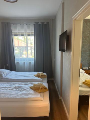 Hotel Pirol *