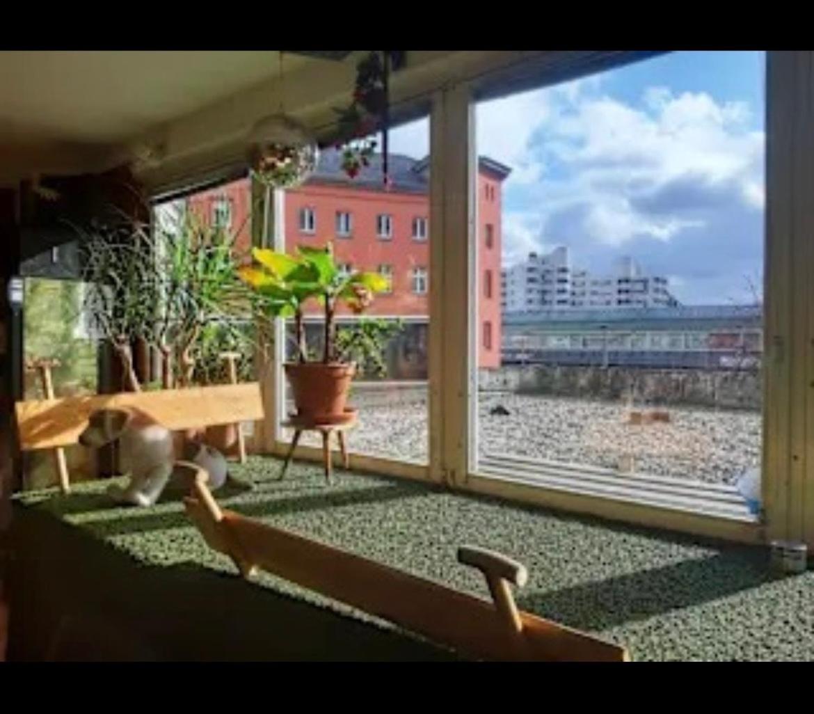 Vandrerhjem Comebackpackers