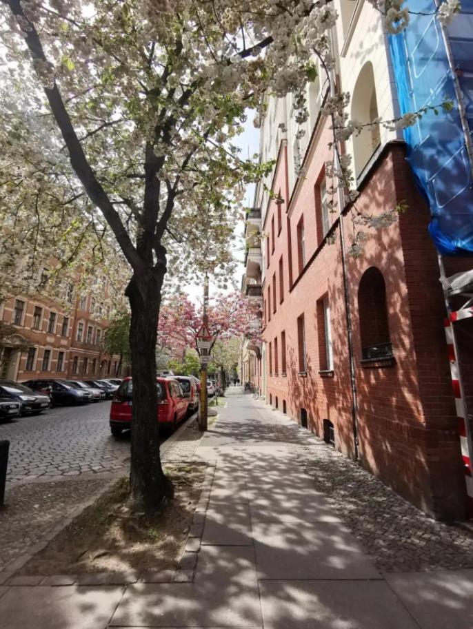 Apartment & Residencies *