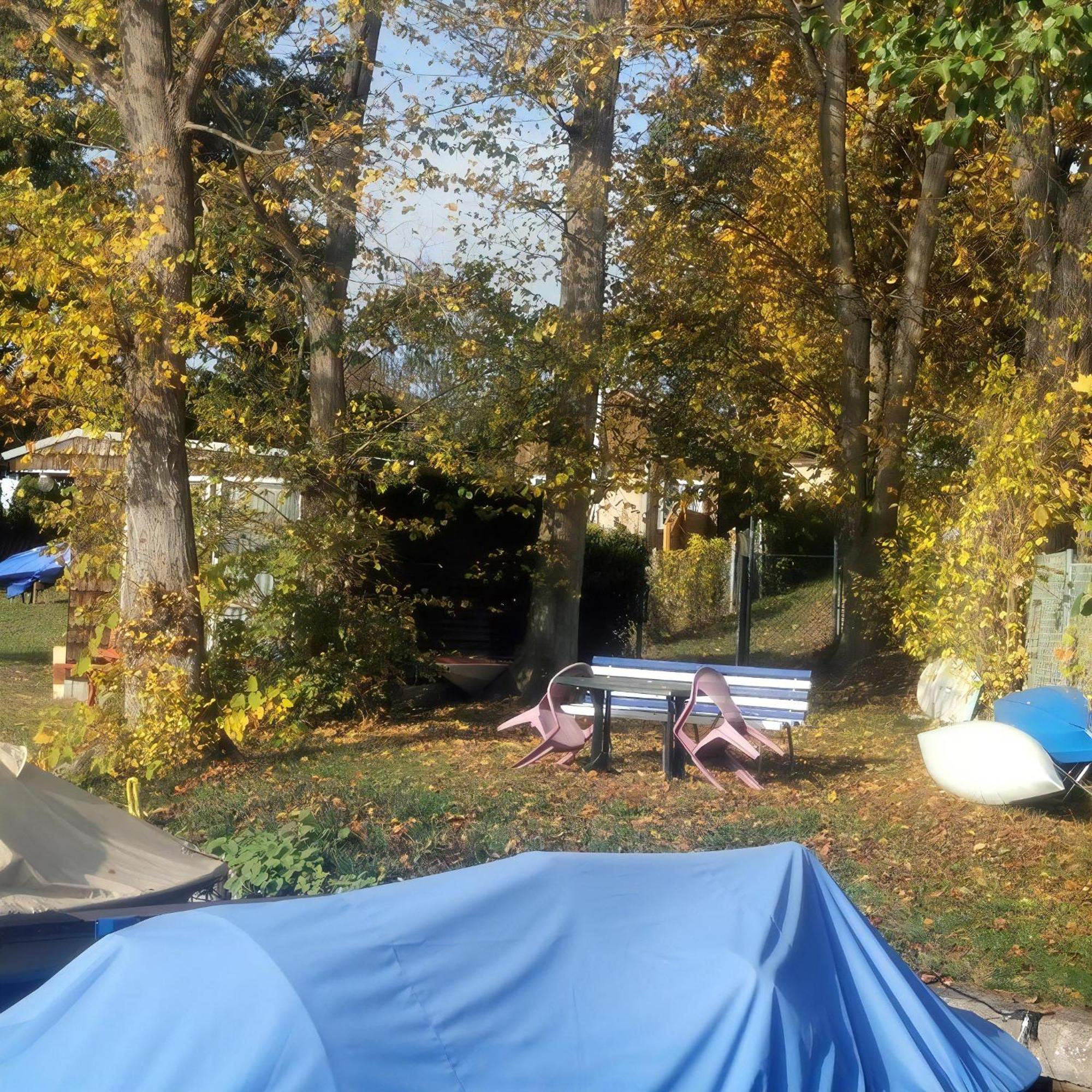 In Mueggelheim Mit Eigener Terrasse Holiday home Berlin
