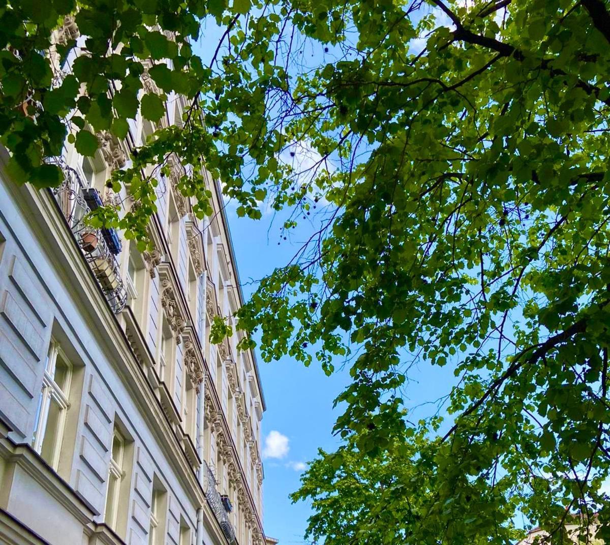 Lejlighed Prenzlauer Berg, Cozy Ground Floor Berlin