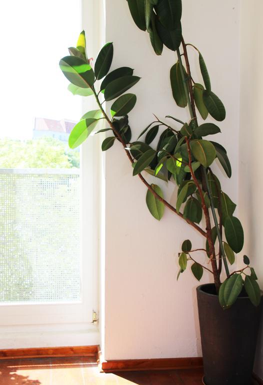 Berlincity Hostel Berlin