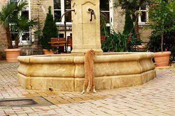 Garden Living - Boutique Aparthotel 4*