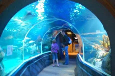 Hotel Park Aqua Dom & Sea Life Berlin